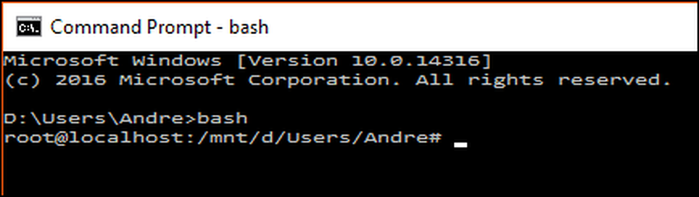 Start bash. Start bash